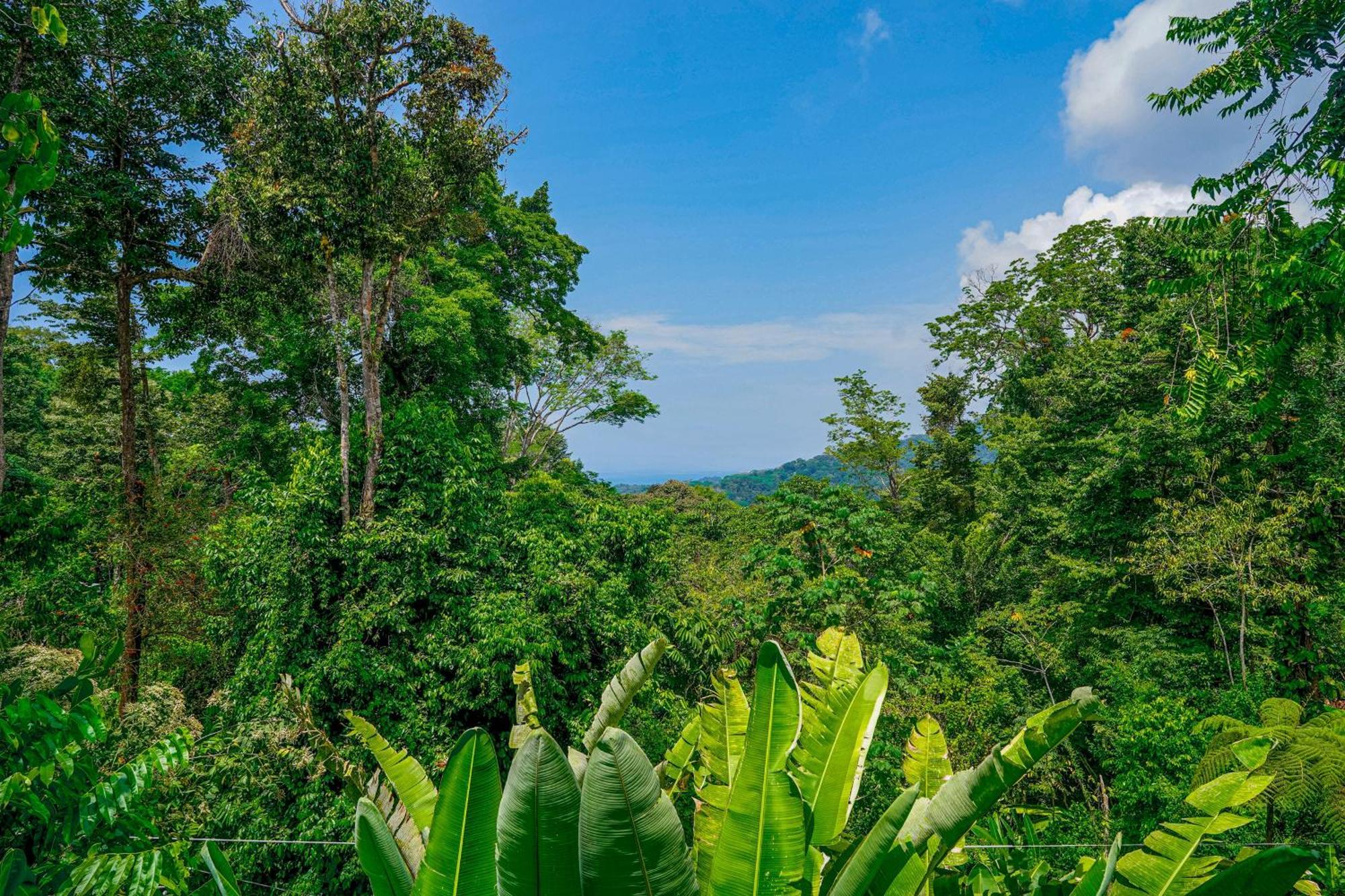 Casa Vista Verde อูวีตา ภายนอก รูปภาพ