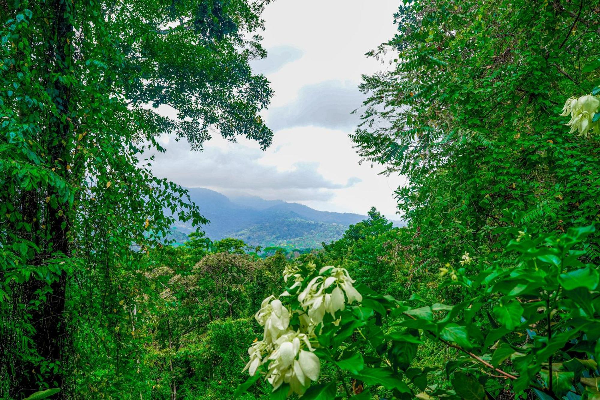 Casa Vista Verde อูวีตา ภายนอก รูปภาพ